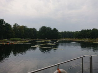 NaturaGart2018_55.jpg